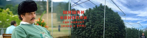 хмурый Нефтекумск