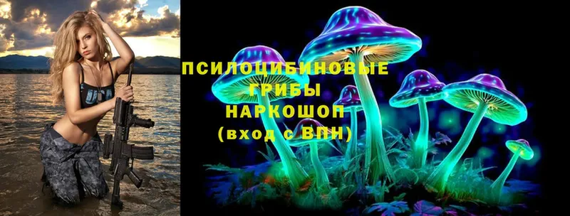 Галлюциногенные грибы Psilocybe  Сорочинск 