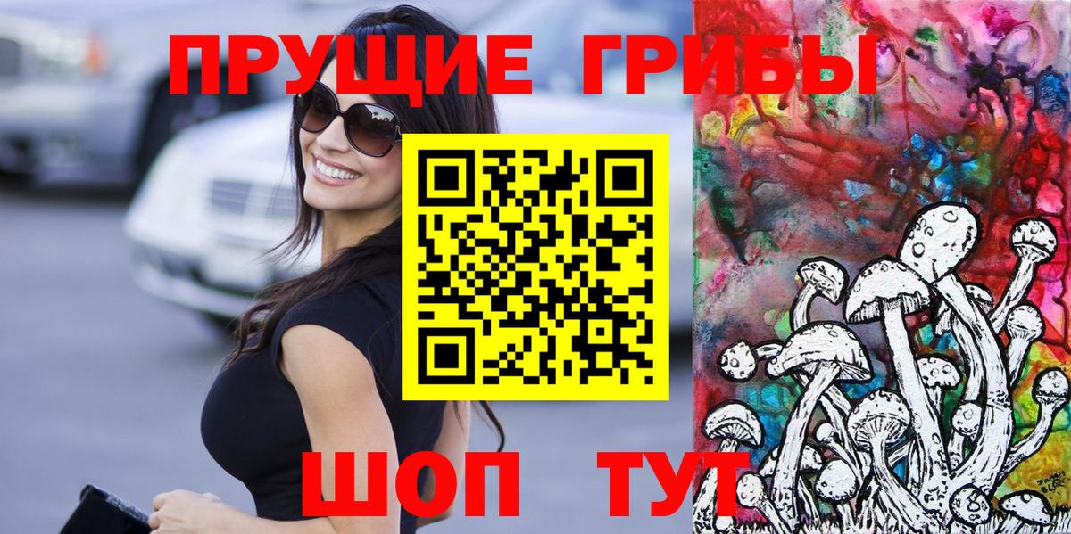 Галлюциногенные грибы Psilocybe  Сорочинск 